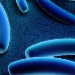 Legionella, pubblicate nuove linee guida